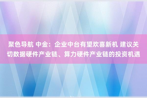 聚色导航 中金：企业中台有望欢喜新机 建议关切数据硬件产业链、算力硬件产业链的投资机遇