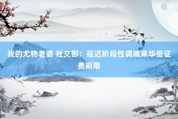 我的尤物老婆 社交部：延迟阶段性调减来华签证费期限