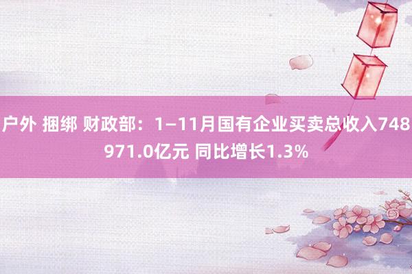 户外 捆绑 财政部：1—11月国有企业买卖总收入748971.0亿元 同比增长1.3%