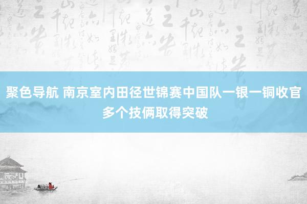 聚色导航 南京室内田径世锦赛中国队一银一铜收官 多个技俩取得突破