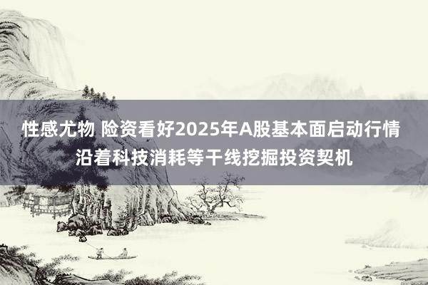 性感尤物 险资看好2025年A股基本面启动行情 沿着科技消耗等干线挖掘投资契机