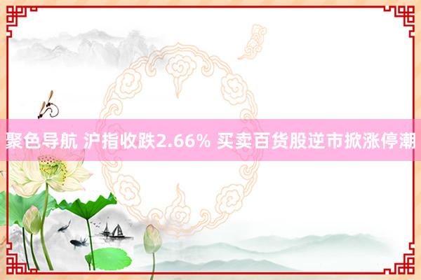 聚色导航 沪指收跌2.66% 买卖百货股逆市掀涨停潮