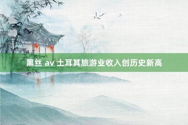 黑丝 av 土耳其旅游业收入创历史新高