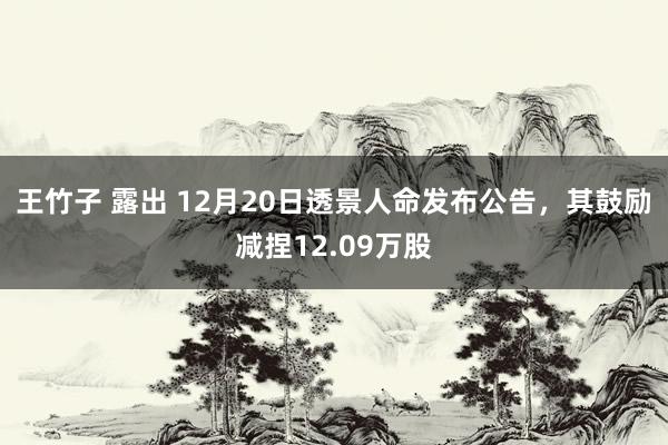 王竹子 露出 12月20日透景人命发布公告，其鼓励减捏12.09万股