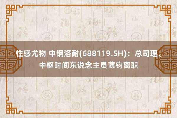 性感尤物 中钢洛耐(688119.SH)：总司理、中枢时间东说念主员薄钧离职
