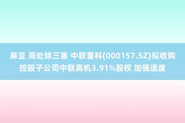麻豆 周处除三害 中联重科(000157.SZ)拟收购控股子公司中联高机3.91%股权 加强适度