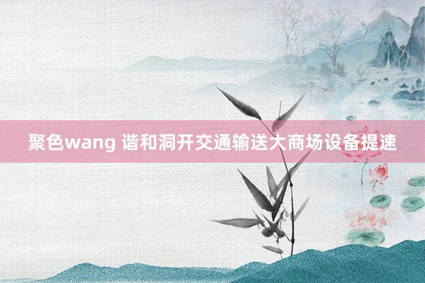 聚色wang 谐和洞开交通输送大商场设备提速