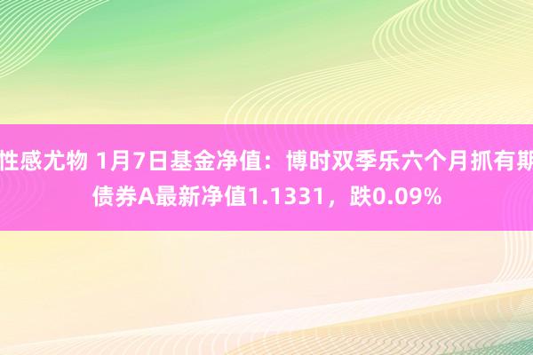 性感尤物 1月7日基金净值：博时双季乐六个月抓有期债券A最新净值1.1331，跌0.09%