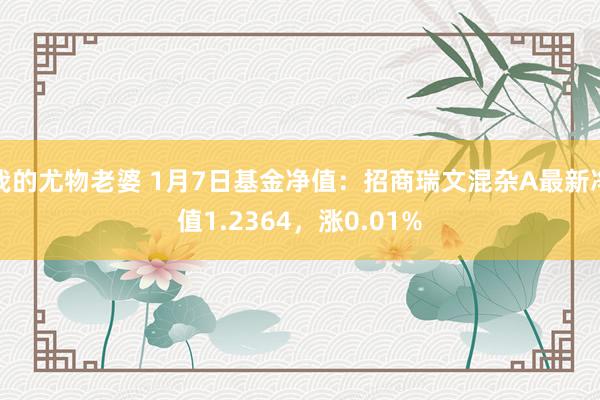我的尤物老婆 1月7日基金净值：招商瑞文混杂A最新净值1.2364，涨0.01%