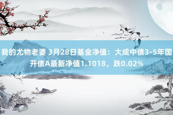 我的尤物老婆 3月28日基金净值：大成中债3-5年国开债A最新净值1.1018，跌0.02%