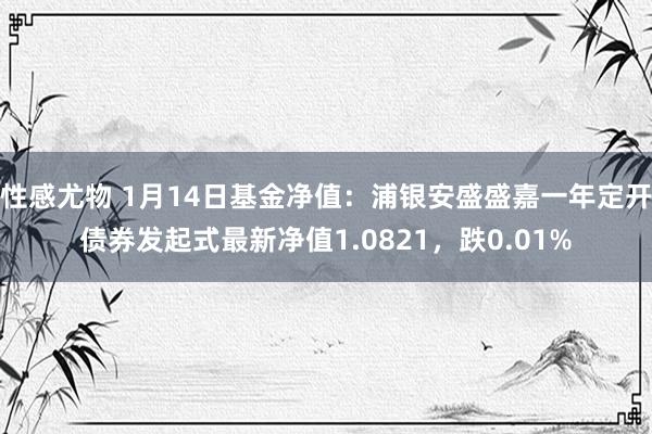 性感尤物 1月14日基金净值：浦银安盛盛嘉一年定开债券发起式最新净值1.0821，跌0.01%