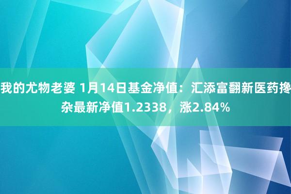 我的尤物老婆 1月14日基金净值：汇添富翻新医药搀杂最新净值1.2338，涨2.84%