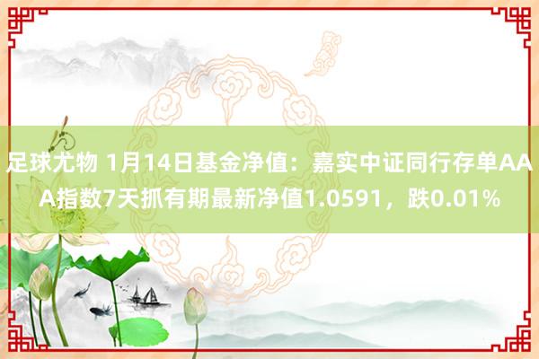 足球尤物 1月14日基金净值：嘉实中证同行存单AAA指数7天抓有期最新净值1.0591，跌0.01%
