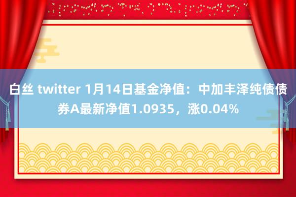 白丝 twitter 1月14日基金净值：中加丰泽纯债债券A最新净值1.0935，涨0.04%
