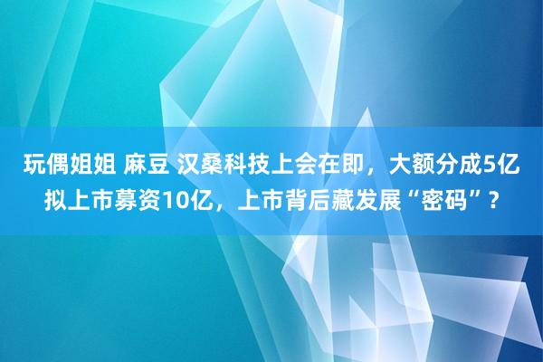 玩偶姐姐 麻豆 汉桑科技上会在即，大额分成5亿拟上市募资10亿，上市背后藏发展“密码”？