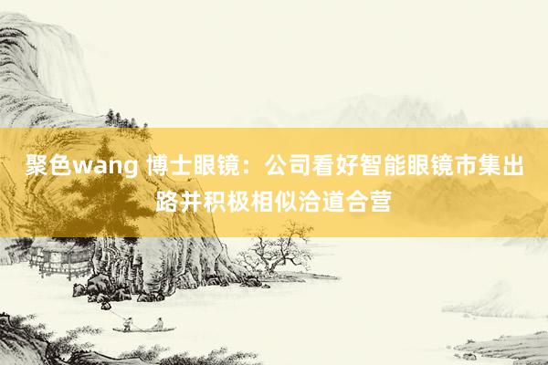 聚色wang 博士眼镜：公司看好智能眼镜市集出路并积极相似洽道合营
