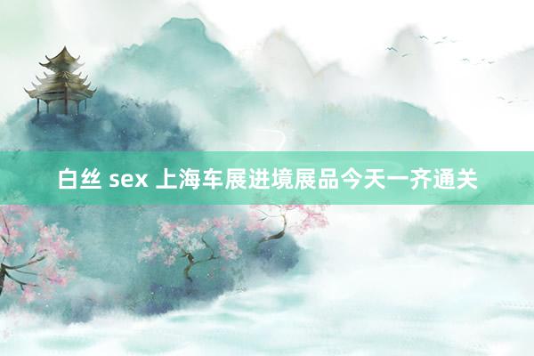 白丝 sex 上海车展进境展品今天一齐通关