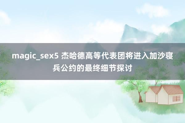 magic_sex5 杰哈德高等代表团将进入加沙寝兵公约的最终细节探讨