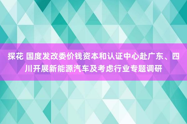 探花 国度发改委价钱资本和认证中心赴广东、四川开展新能源汽车及考虑行业专题调研