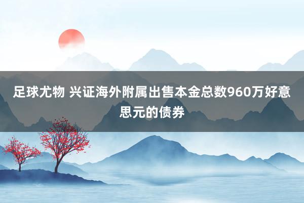 足球尤物 兴证海外附属出售本金总数960万好意思元的债券