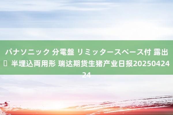 パナソニック 分電盤 リミッタースペース付 露出・半埋込両用形 瑞达期货生猪产业日报20250424