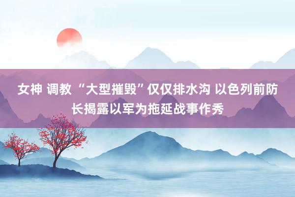 女神 调教 “大型摧毁”仅仅排水沟 以色列前防长揭露以军为拖延战事作秀