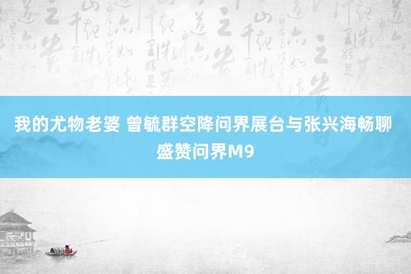 我的尤物老婆 曾毓群空降问界展台与张兴海畅聊 盛赞问界M9