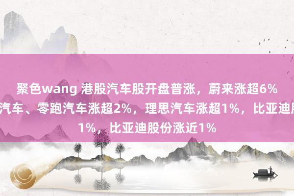 聚色wang 港股汽车股开盘普涨，蔚来涨超6%领涨，小鹏汽车、零跑汽车涨超2%，理思汽车涨超1%，比亚迪股份涨近1%