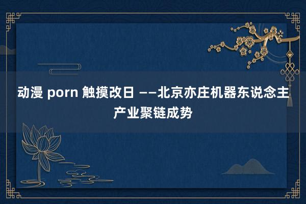 动漫 porn 触摸改日 ——北京亦庄机器东说念主产业聚链成势