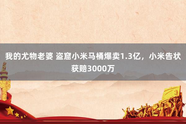 我的尤物老婆 盗窟小米马桶爆卖1.3亿，小米告状获赔3000万